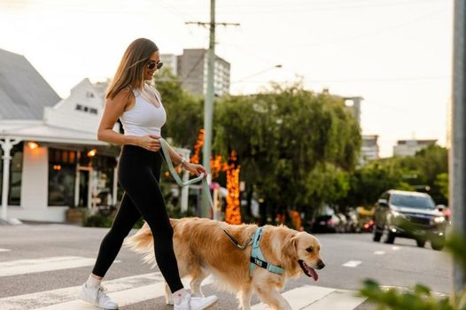 Sage Hotel James Street