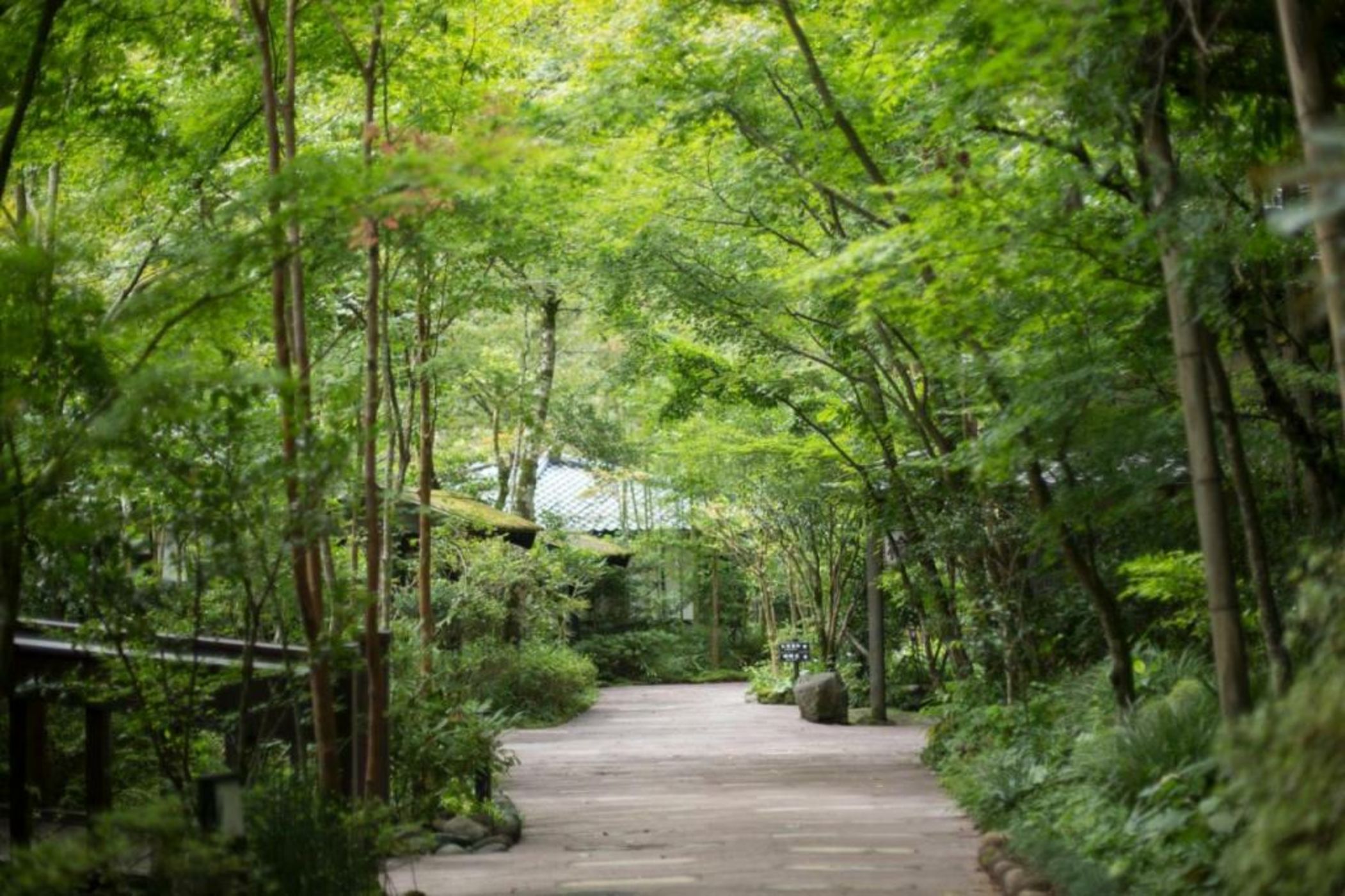 Kurokawa Onsen Oku no Yu