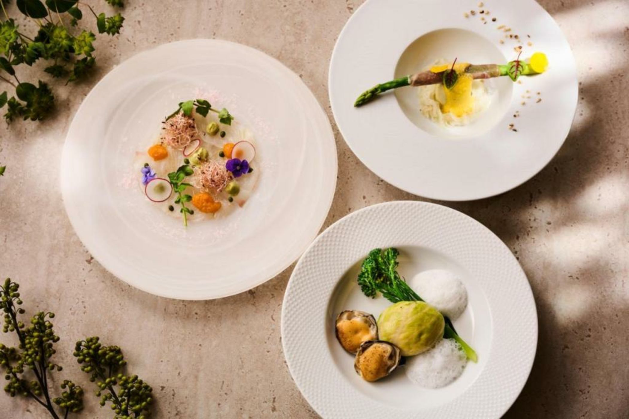 Laforet Hakone Gora Yunosumika