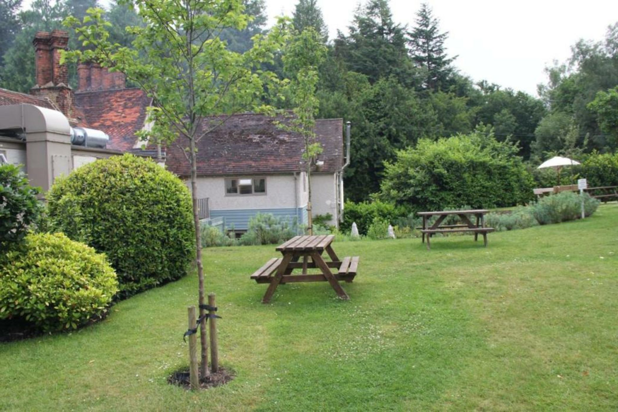 Bel And The Dragon-Churt