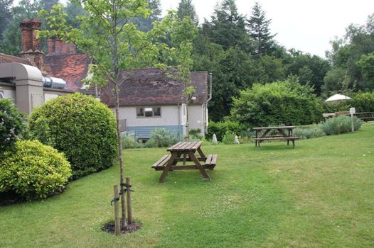 Bel And The Dragon-Churt