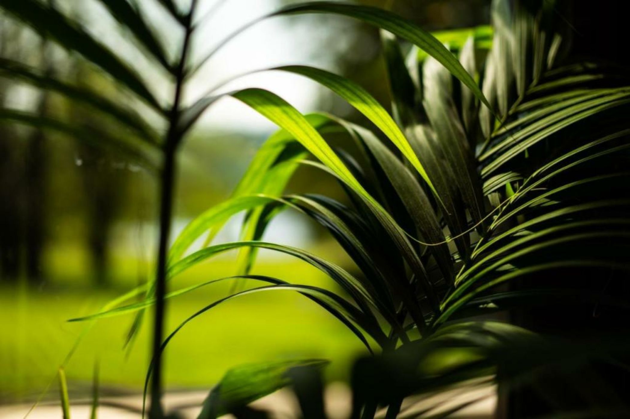 Armathwaite Hall Hotel & Spa