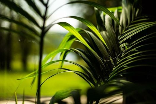 Armathwaite Hall Hotel & Spa