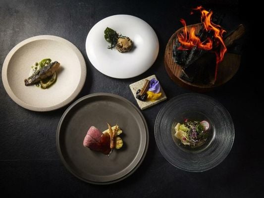 Hakone Retreat Före