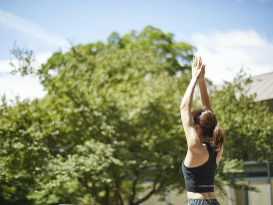 Hakone Retreat Före