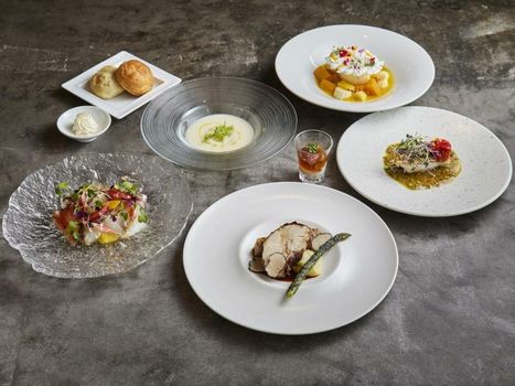 Hakone Retreat Före