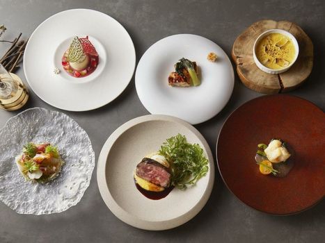 Hakone Retreat Före