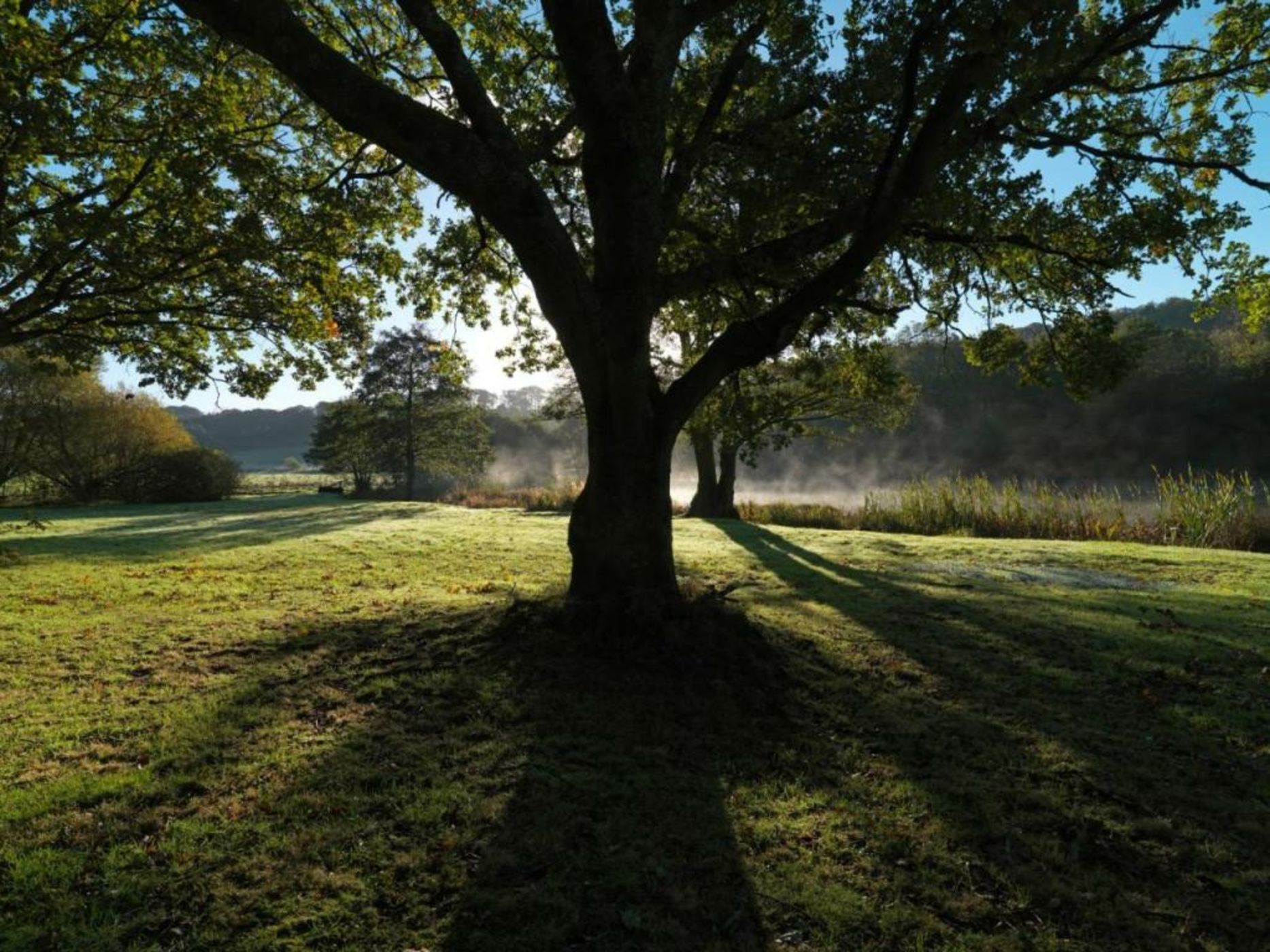 Plas Nanteos Mansion