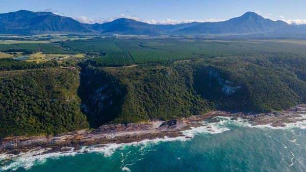 The Fernery Lodge & Spa