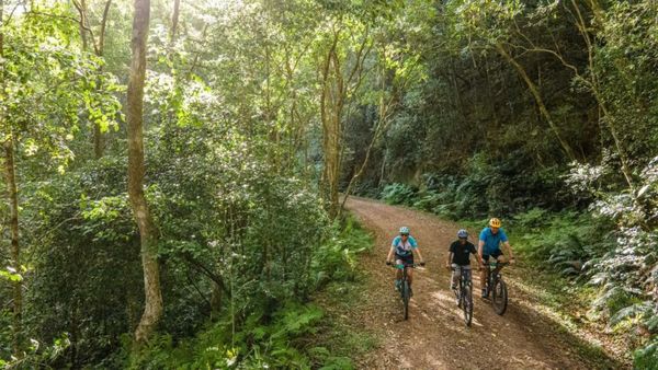 The Fernery Lodge & Spa