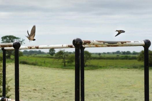 Pyes Mill Hotel Conder Green