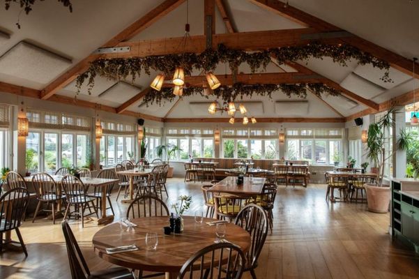 The Plume of Feathers