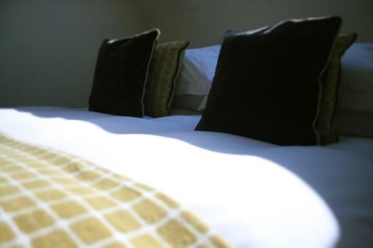 Cat and Custard Pot Inn