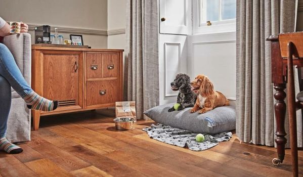 Moonfleet Manor Hotel