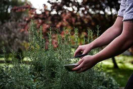 The Beeley Inn - Chatsworth