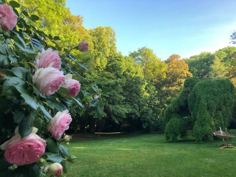 Le Château d'Hermonville B&B / Chambres d'hôtes