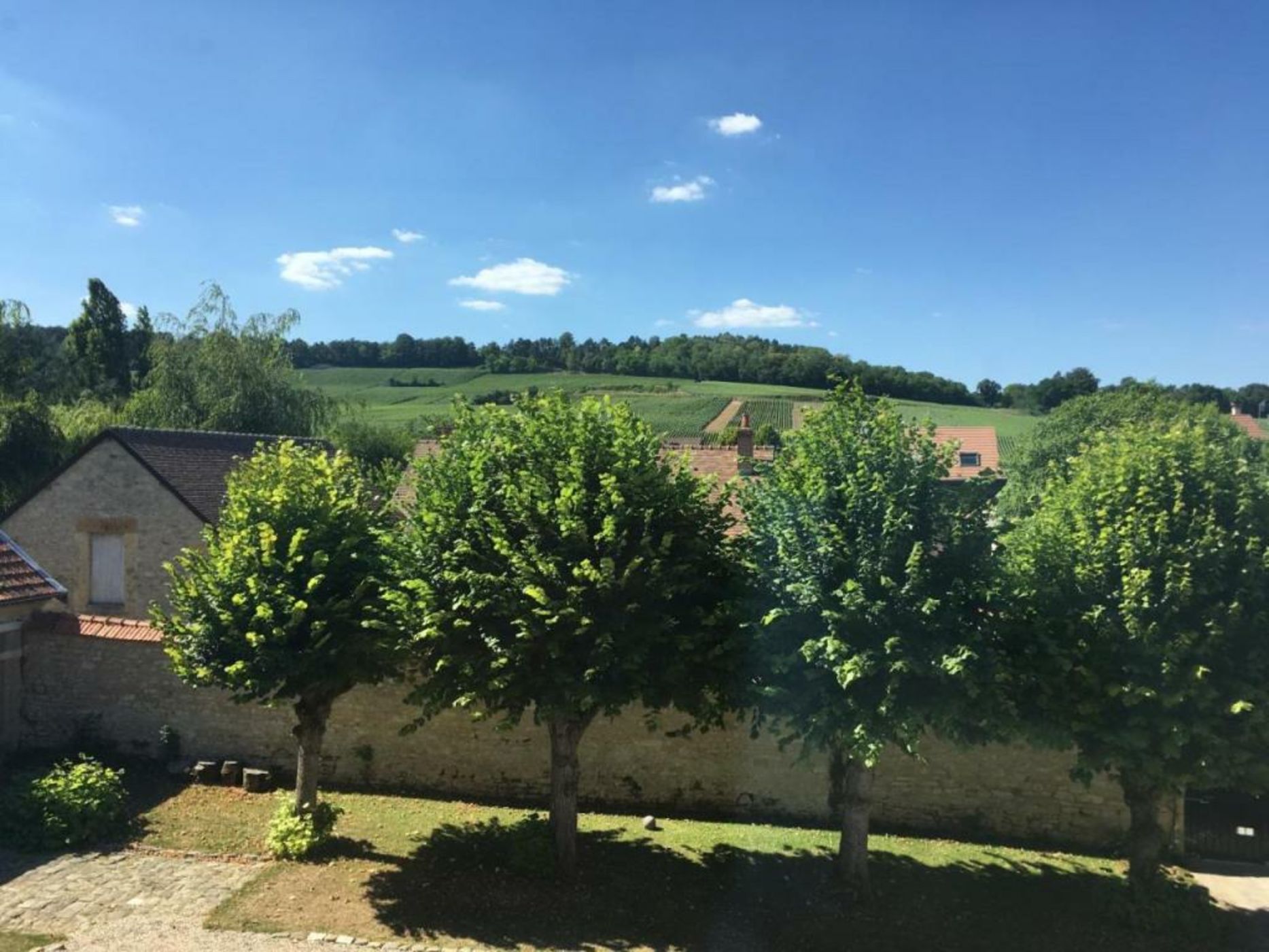 Le Château d'Hermonville B&B / Chambres d'hôtes