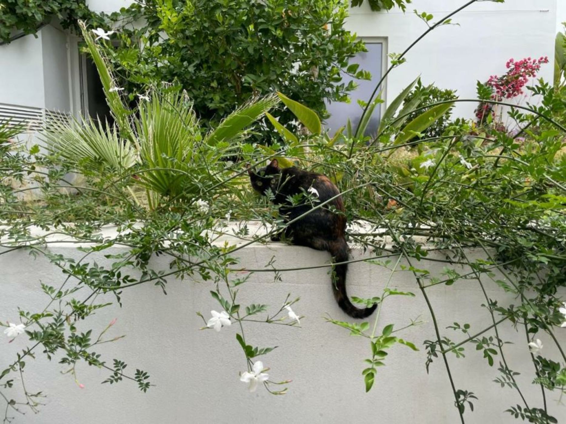 Casa Apollo Guesthouse