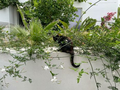 Casa Apollo Guesthouse