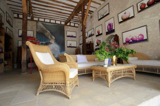 Château De La Bourdaisière