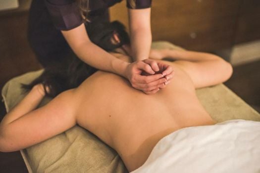 Logis Hostellerie des Clos et restaurant Bistrot des grands crus et Maison de la tour Chablis