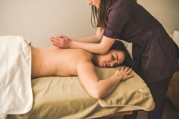 Logis Hostellerie des Clos et restaurant Bistrot des grands crus et Maison de la tour Chablis