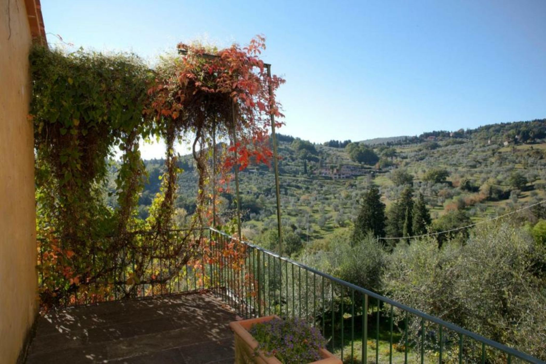 Agriturismo Villa Di Campolungo