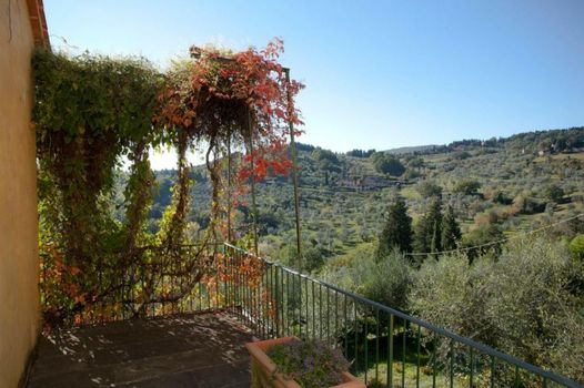 Agriturismo Villa Di Campolungo