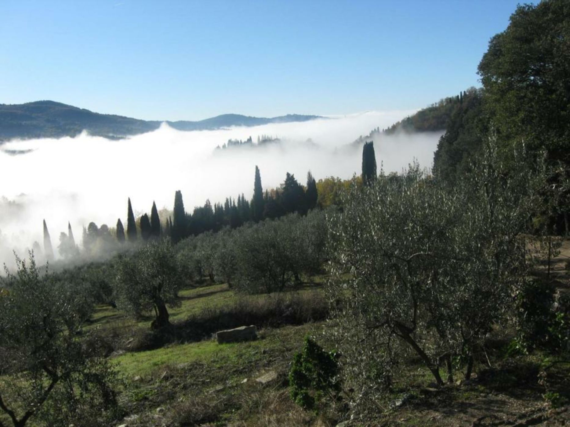 Agriturismo Villa Di Campolungo