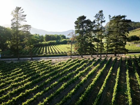 Rickety Bridge Estate