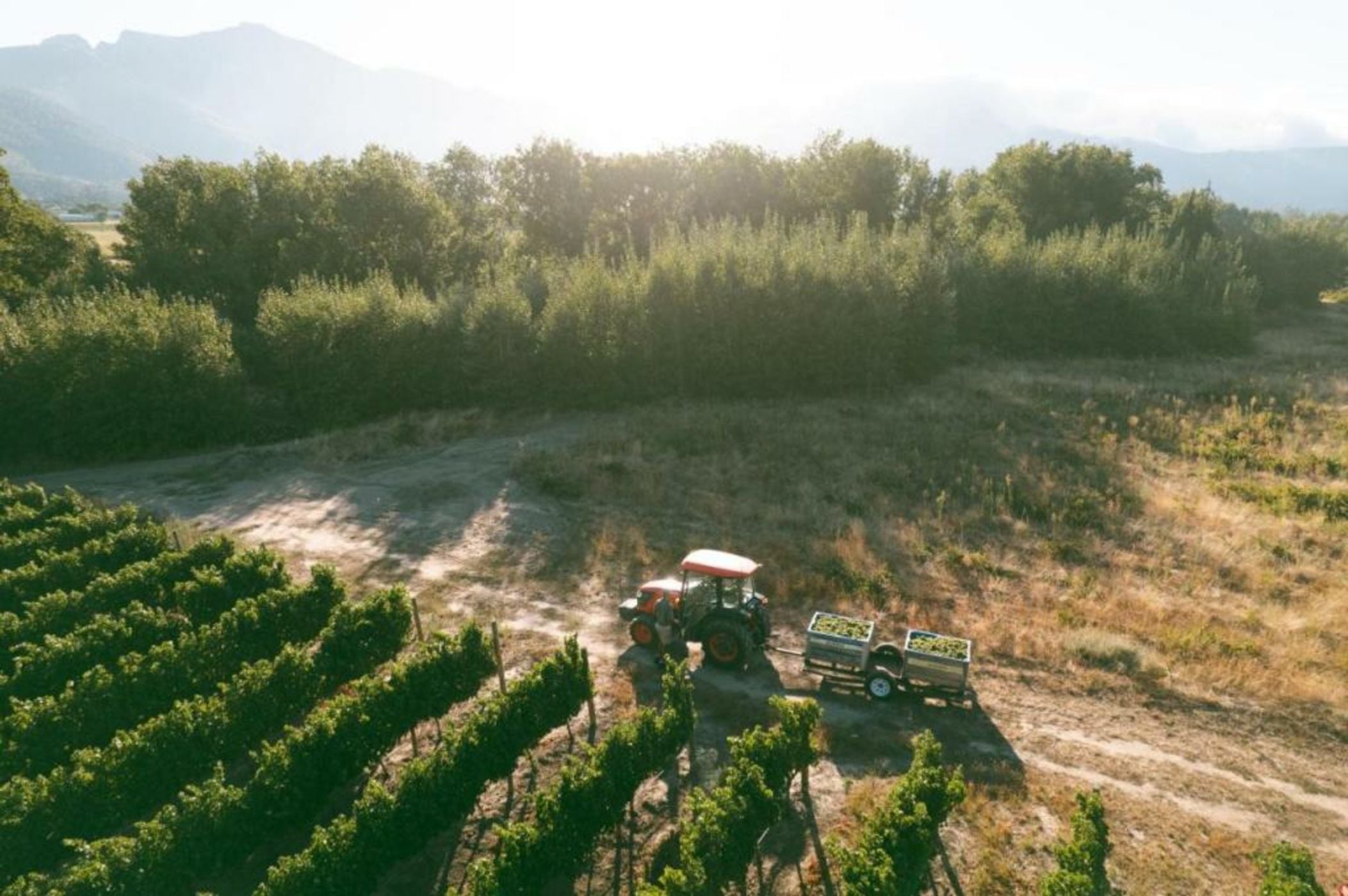 Rickety Bridge Estate