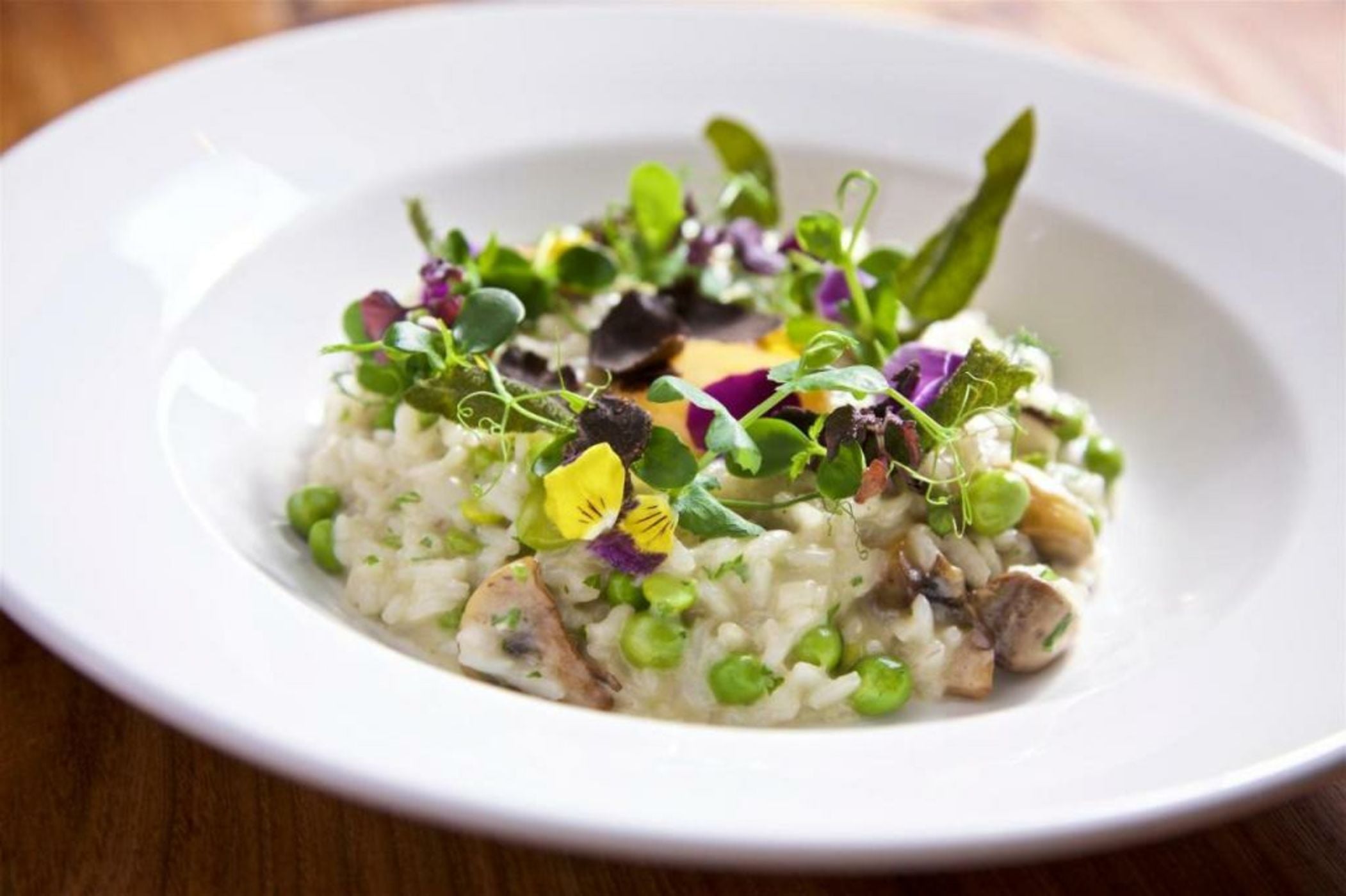 Hotel Castillo de Monda