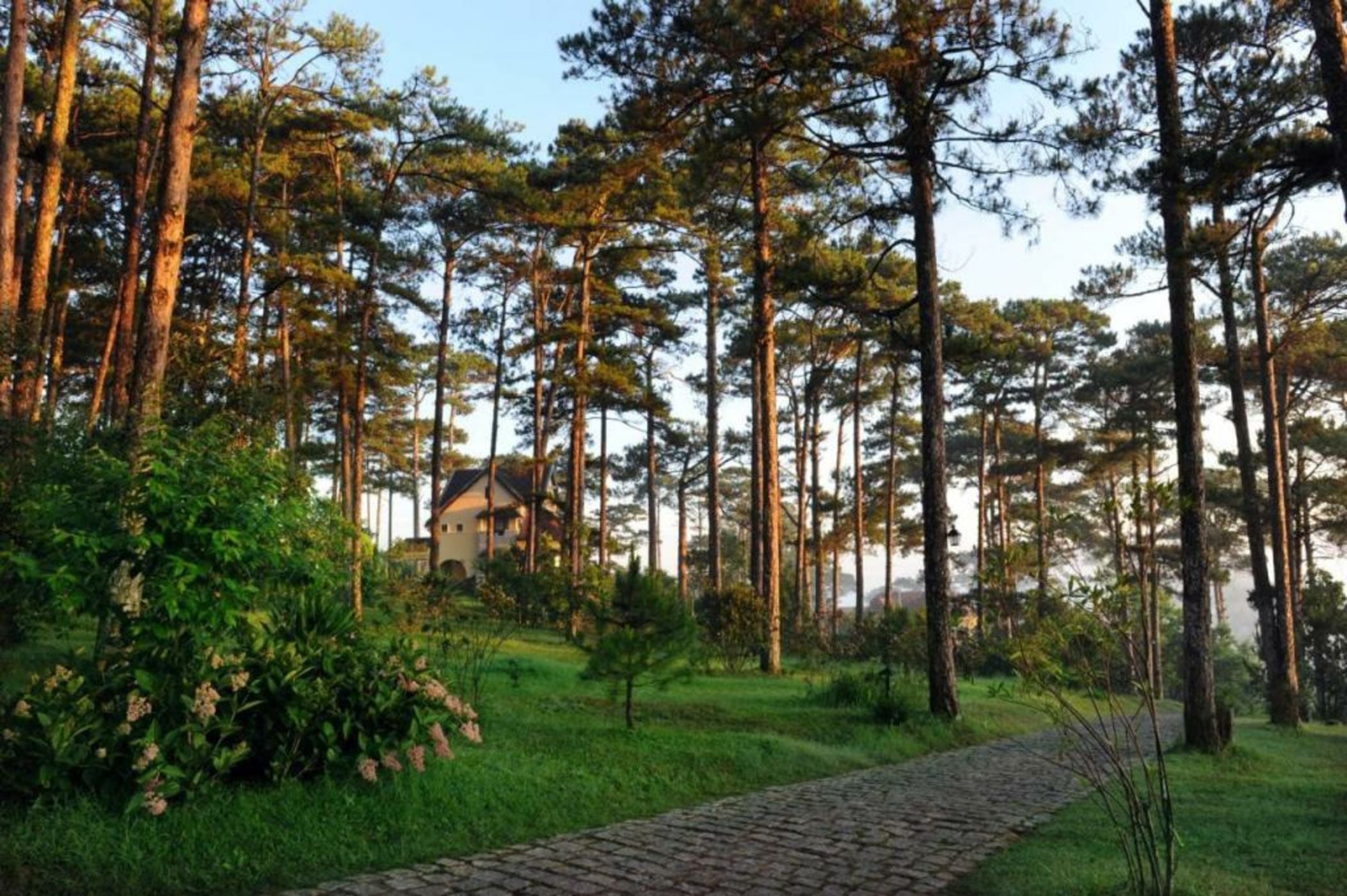 Ana Mandara Villas Dalat Resort & Spa