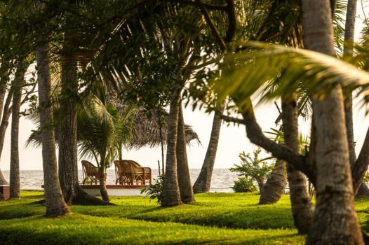 Coconut Lagoon Kumarakom - A CGH Earth Experience
