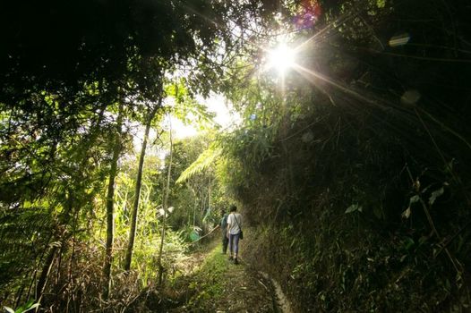 The Lakehouse Cameron Highlands