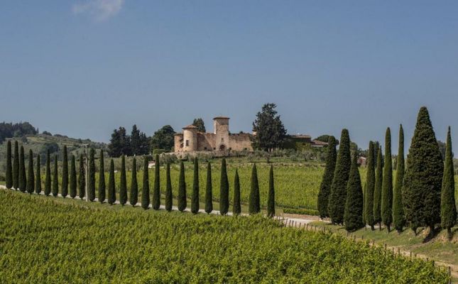 Castello Di Gabbiano