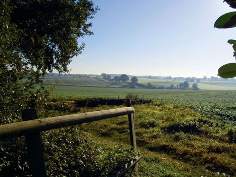 The Pheasant Public House & Hotel