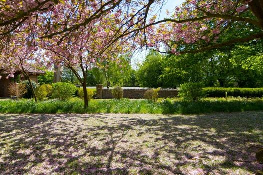 Tickton Grange Hotel