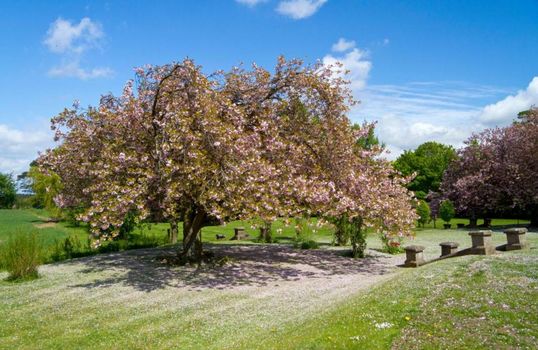 Tickton Grange Hotel