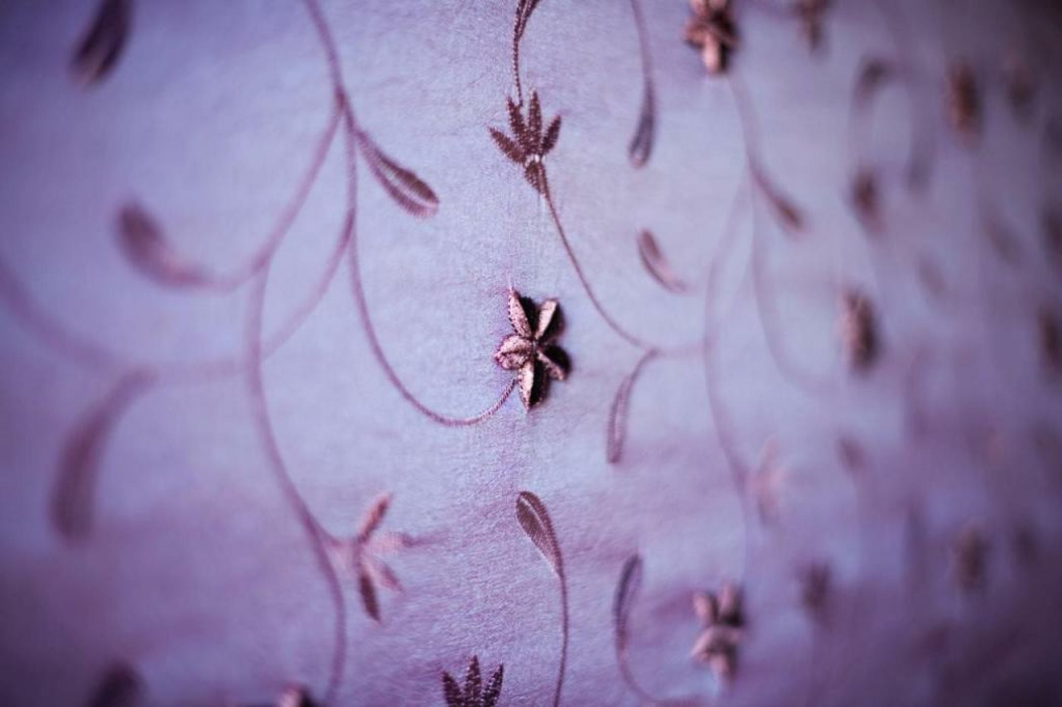 B&B Bloom Settimo Cielo