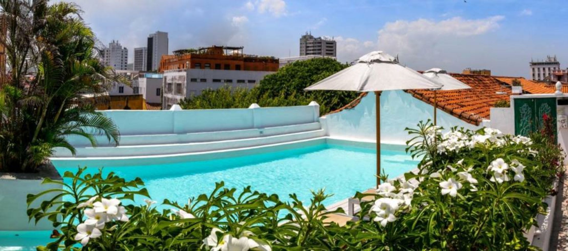 La Passion by Masaya Collection