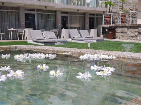 Oca Flores Hotel Boutique