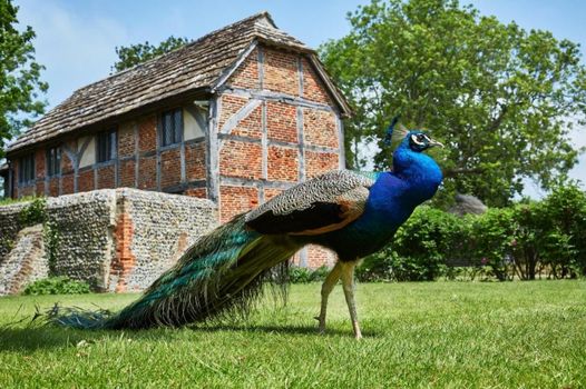 Bailiffscourt Hotel & Spa