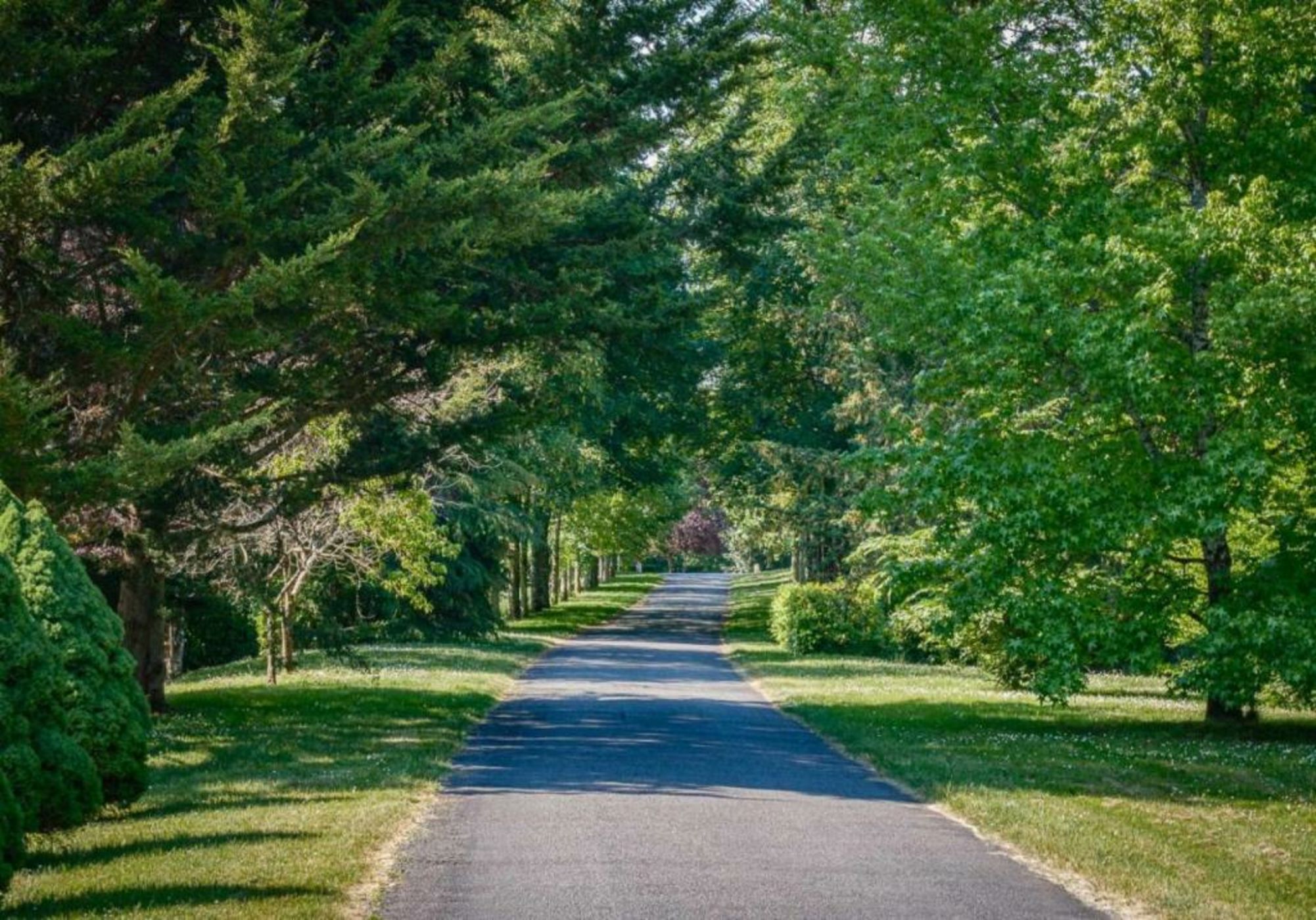 Chateau De Rochecotte