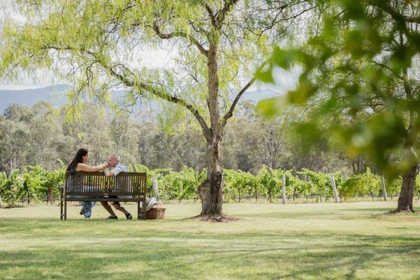 Spicers Vineyards Estate