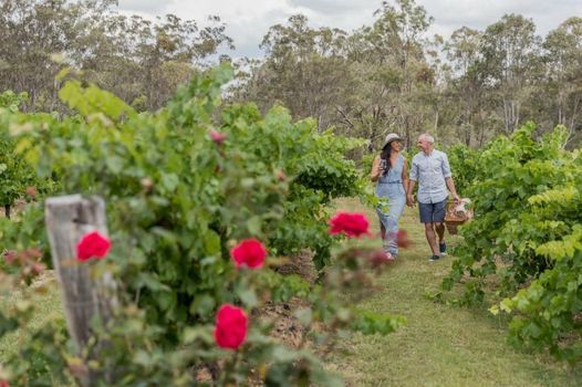 Spicers Vineyards Estate