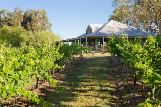 Spicers Vineyards Estate