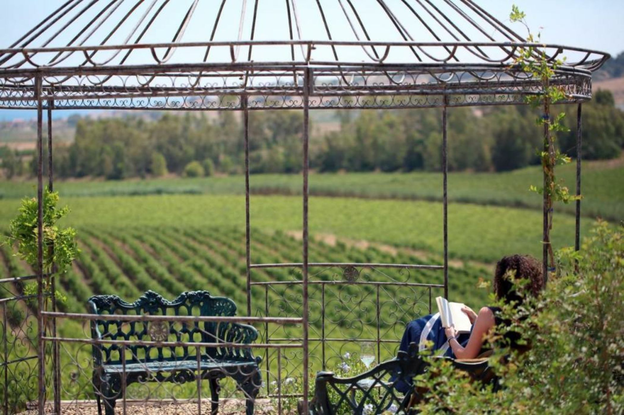 La Foresteria Planeta Wine Resort & Beach Club