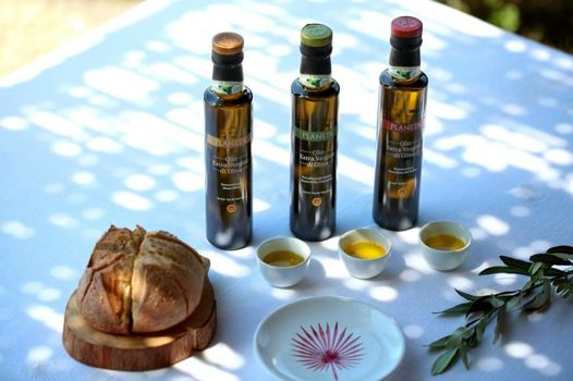 La Foresteria Planeta Wine Resort & Beach Club