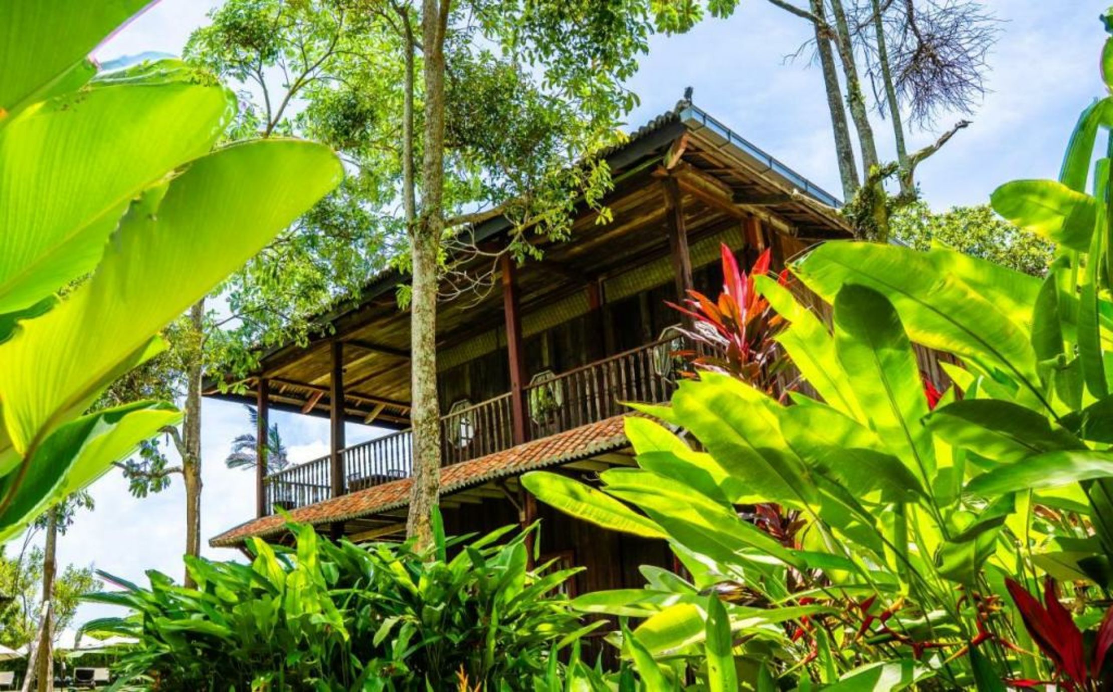Temple Tree Resort
